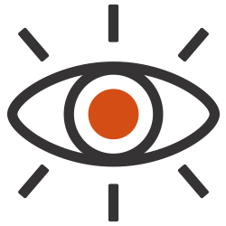 fasimet-vision